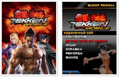 Постер Tekken 240х320, 176х220